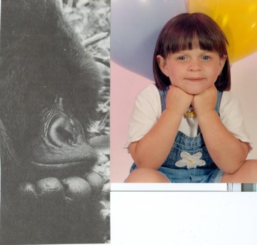 i'm seeking owner of the gorrilla photo, unable to locate for permission to use. together this unique photo with hands on chin along with this beautiful young child also having hands on chin, tells this story best. at any age we can communicate with our perceptions if we share.