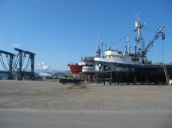 these photos are of wooden boats maintained well. it is such a bi`joy experience when we recycle, be efficient + carry forward old ways that work as we co_evolve with new. the port townsend, wa + spauldings in san francisco area, are unique wooden boat havens. good folks that love to sail due it regularly every week of the year. it is work boats + pleasure + our home as we exchange tools of what work. nothing better then to spend a walk in the boat yard watching the rehab work form old/new/students/people as lessons are lived every day. it is so wrong to choose to not have people live on their boats in marinas or on anchor. we are very valuable to the local community as we are on watch + we `boon with the sea so those that are irresponsible should be educated/enforced, so as not to spoil a life that has been here forever. it is a mangement problem that should be corrected. enjoy old boats maintained.