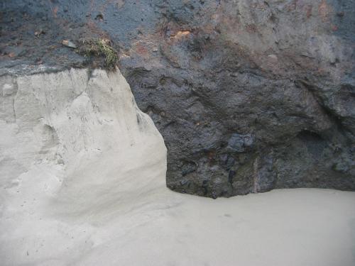 exposed rock at low tide with nice calm sandy beach along the Oregon coast. have a bi`joy experience of your own, the coast offers much natural beauty that folks have worked hard to remain assessible to us all.