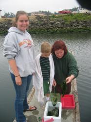 we can start at a very young age becoming aware with good local folks offering camp/workshops at slough. we can walk the docks with respect to the fisher folks + those that work the sea + have a bi'joy experience of our working harmony in nature. we don't have to isloate putting up walls, adding extra expense, increasing property taxes as older folks now unable to pay as values get out of hand. rather lets pool thought + make what is needed + address what is presently not working + make it right so all can adjust efficiently, as in F+W working woth fisher folks as ne wscience is written to regulate for sustainable harvest. so folks `boon with their natural world, not be restricted from it due to fragmented intervention.