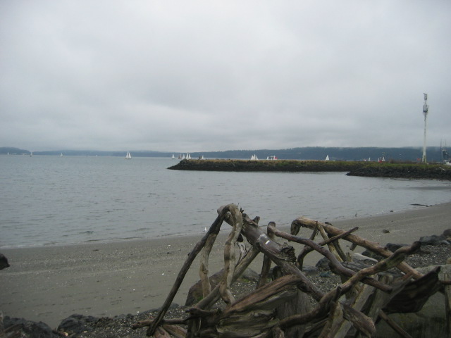 shipwright sail race first if season port townsend