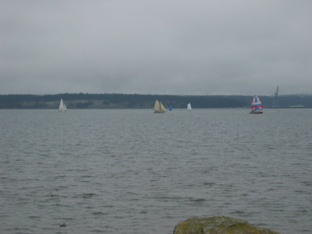 shipwright sail race first if season port townsend