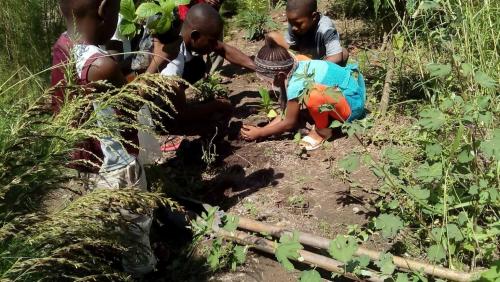 Joseph showing Eboli orphans to no more go to bed hungry as they learn to plant foof